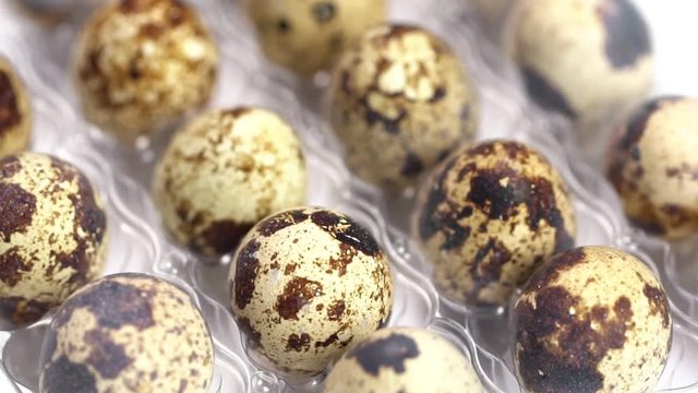 Uncooked quail eggs in pack. Rotating and closeup