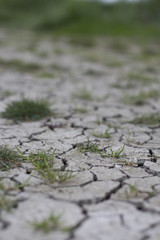 Obraz premium secheresse