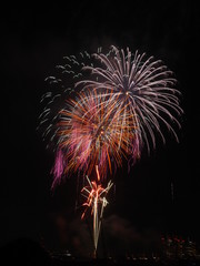Edogawa fireworks display