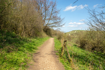 Walking trail acroos the hills or pass to Ivinghoe Beacon seen in early Spring - 1