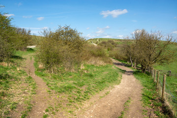 Fototapeta na wymiar Walking trail acroos the hills or pass to Ivinghoe Beacon seen in early Spring - 3
