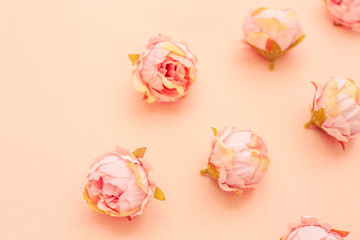 Delicate floral background, peony flowers on peachy beige felt, simple wedding background