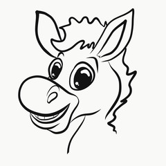 Young cheerful donkey, head, profile