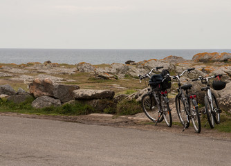 Obraz premium randonnée en vélo sur l'île d'yeu