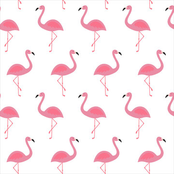 pink flamingo tropical exotic bird summer seamless pattern on a white background vector
