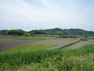 堤防からみた田舎の田畑