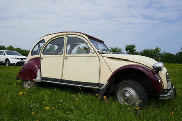 Oldtimer, altes französisches Auto auf einer grünen Wiese,  genannt 