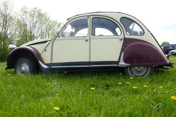 Oldtimer, altes französisches Auto auf einer grünen Wiese,  genannt "hässliches Entlein" oder einfach "Ente"