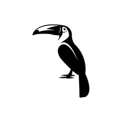 toucan  © Tetiana