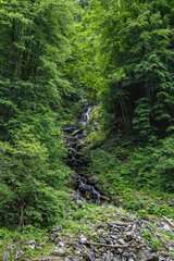 Details of a hidden waterfall in Carpathian Mountains forest