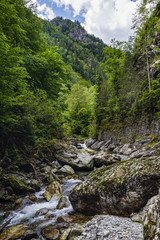 Fototapeta na wymiar a beautiful mountain river among the rocks with crystal water