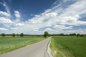 Fototapeta premium Road through fields and clouds in the sky