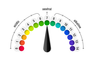 pH value scale meter for acid and alkaline solutions, acid-base balance infographic