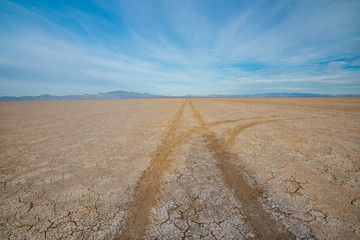 Divergent Tire Tracks in Dry Lake Bed