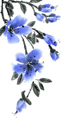 Fototapeta na wymiar Watercolor and ink illustration of branch with blue flowers. Sumi-e, u-sin painting. Set on white background.