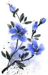 Fototapeta na wymiar Watercolor and ink illustration of branch with blue flowers. Sumi-e, u-sin painting. Set on white background.