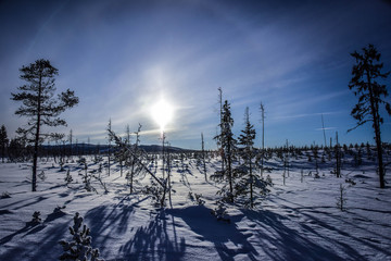 Fototapeta na wymiar Die Sonne von Lappland