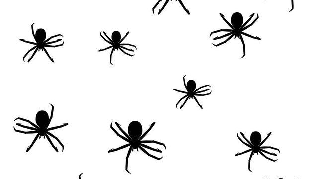 Spiders running down on a white background. Seamless loop 3d animation of black silhouettes of arthropods.