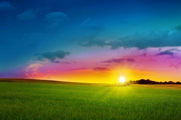 Green field and olorful sunset.