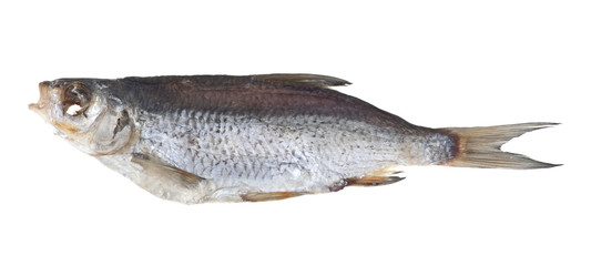 cured fish isolated on white background