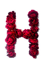 Alphabet from roses