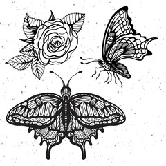 Hand-draw of monarch butterfly on a paper backround. Vector illustration. Place for your text