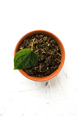 Mukhwas or Tambul is a fine mixture of Paan masala. It's popular mouth freshener from India consumed after meals. Also offered to Goddess Durga devi in puja