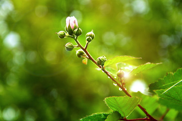 после дождя