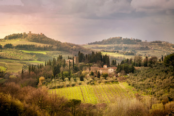 Chianti vineyards in Tuscany, Italy. - obrazy, fototapety, plakaty