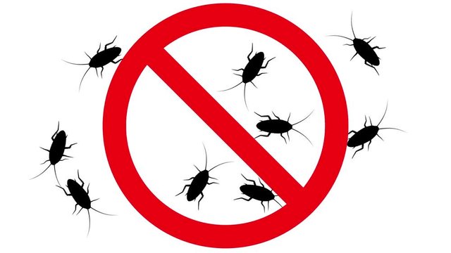 Cockroaches in prohibition sign. Black silhouettes of pests swarm on white background, 3D animation.