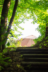 Ścieżka do lasu © Krzysztof