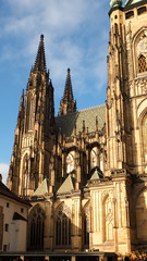 Fototapeta premium OLYMPUS DIGITAL CAMERA