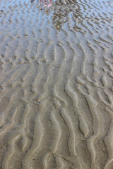 spieggia