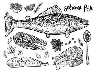 Salmon fish hand drawn vector sketch. Illustration of seafood. Fillet and steak, red caviar on spoon and fish side view.