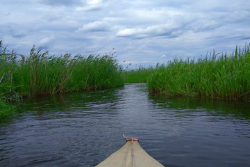 boat floats into the reeds. Pra river. Ryazan region. Russia - obrazy, fototapety, plakaty