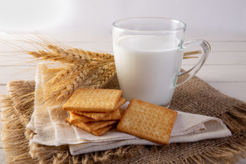 Square biscuit cracker with fresh milk
