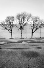 Naklejka premium #11