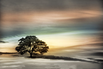 Big tree in nature on colorful blur background