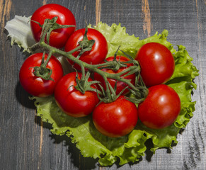 branch red tomatoes on dark background