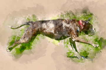 Watercolour painting of a German Boxer Dog running in a Field on a Spring Day