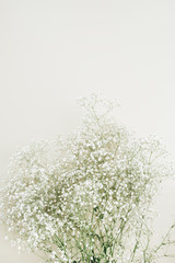 White gypsophila flower bouquet.