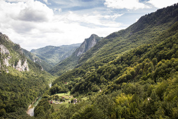 Fototapeta premium river and shaft beam of light. mountain river in the wood.