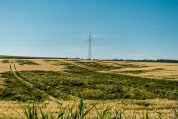 Niedergedr&uuml;cktes Kornfeld