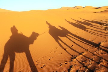 Camal caravan on a Nomad trip through sand desert