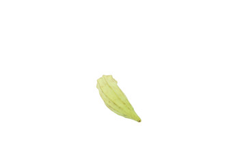 Okra single whole