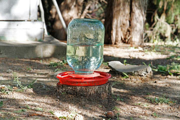 Drinking bowl for wild animals made from glass jar and plastic dish in the park