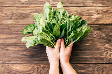 spinach bunch of a girl in hands on a wooden background, detox, fresh vegetables