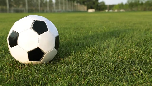 Soccer ball on a green lawn. Football ball on the green grass.