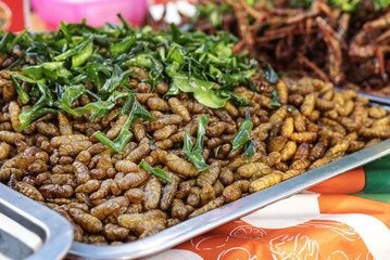 Crispy fried worms on a thai street market. Close up image of biyare Asian food.