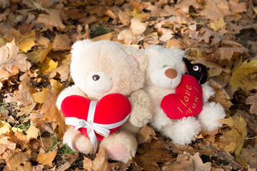 two bears on a background of autumn yellow leaves